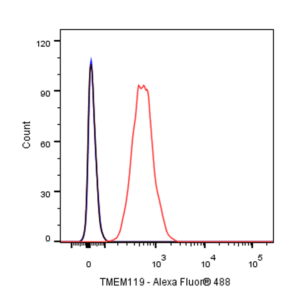 Rabbit anti-TMEM119 Recombinant Monoclonal Antibody(S-838-46)