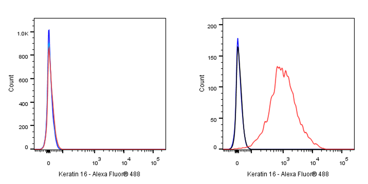 Rabbit anti-Keratin 16 Recombinant Monoclonal Antibody(S-R306)