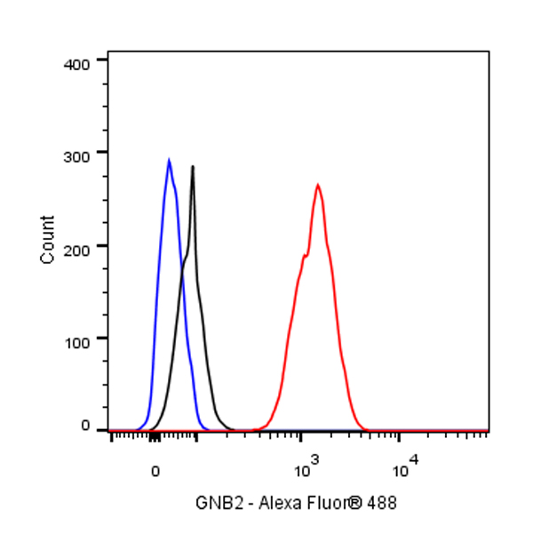 Rabbit anti-GNB2 Recombinant Monoclonal Antibody(S-645-10)