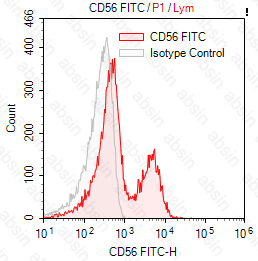 FITC Mouse anti-Human CD56 Antibody(MY31)