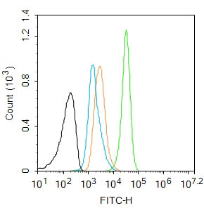 Rabbit anti-STAT6 Monoclonal Antibody