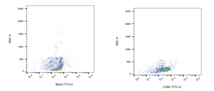 FITC Mouse anti-Human CD86 Antibody(BU63)