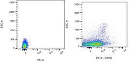 PE Mouse anti-Human CD56 Antibody(4H6)