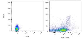 PE Mouse anti-Human CD90 Antibody(5E10)