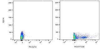 PE-Cy7 Mouse anti-Human CD8 Antibody(OKT-8)