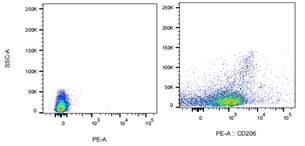 PE Mouse anti-Human CD206 Antibody(15-2)