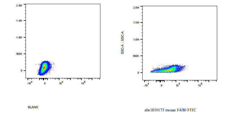 FITC Rat anti-Mouse F4/80 Antibody(BM8)