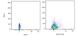PerCP Rabbit anti-Human CD138 Antibody(1G8)