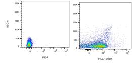 PE Mouse anti-Human CD25 Antibody(BC96)