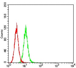Mouse anti-GRIK3 Monoclonal Antibody