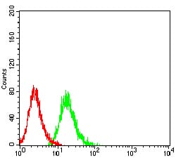 Mouse anti-CD101 Monoclonal Antibody