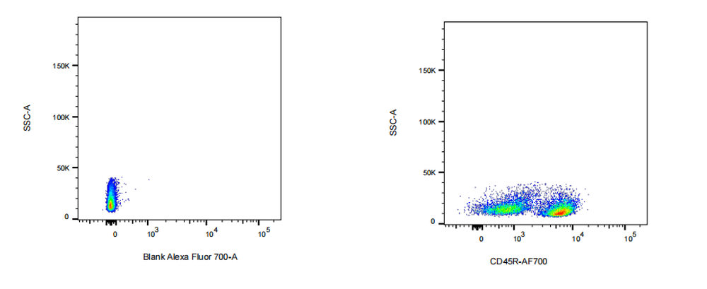 AF700 Rat anti-Human /Mouse CD45R/B220 Antibody(RA3-6B2)