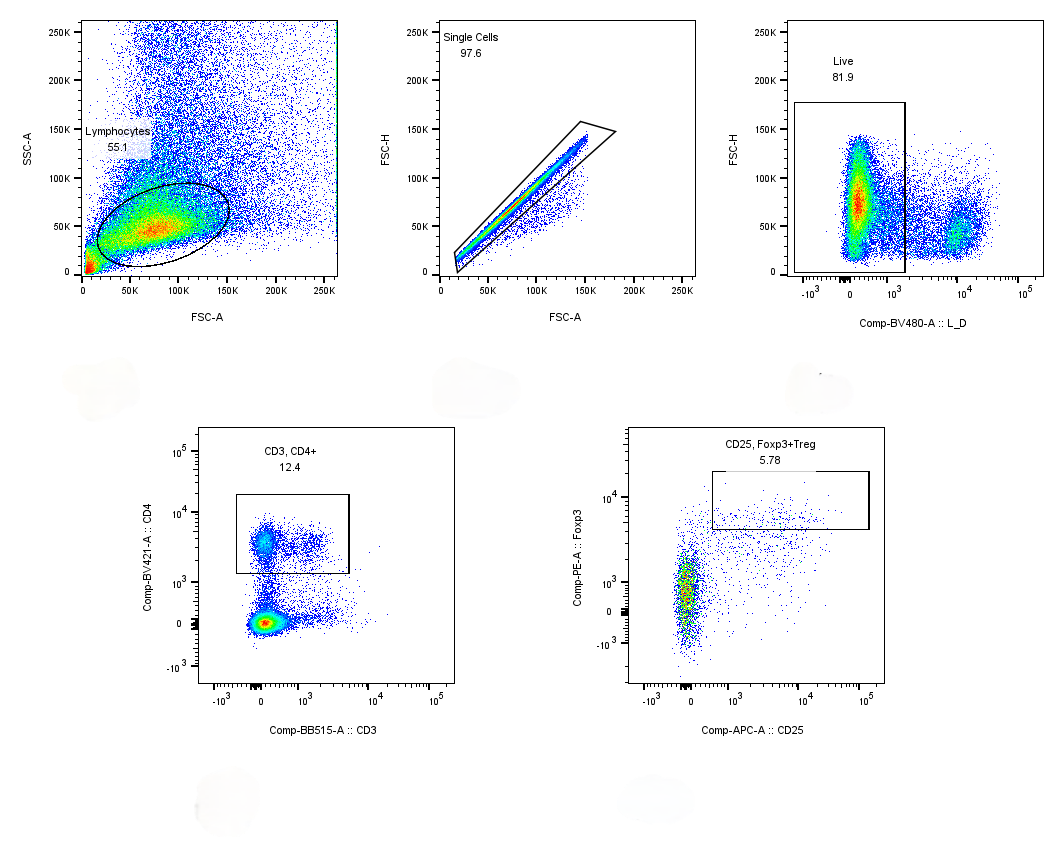 PE Mouse anti-Mouse FOXP3 Antibody(3G3)