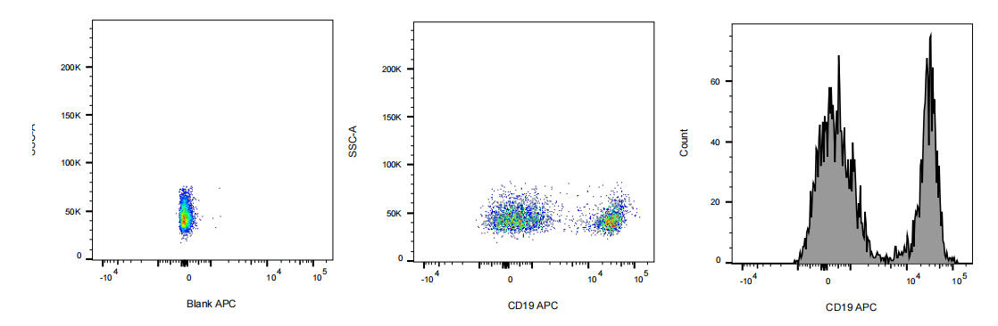 APC Rat anti-Mouse CD19 Antibody(1D3)