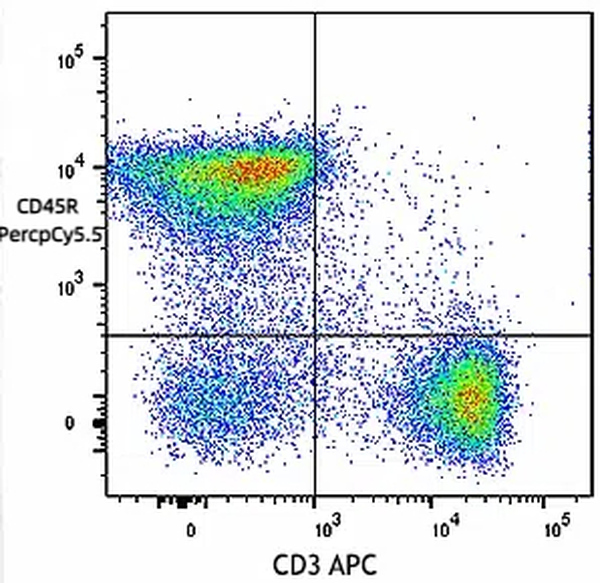 PerCP-Cy5.5 Rat anti-Mouse CD45R(B220) Antibody(M/HCD45R-01)
