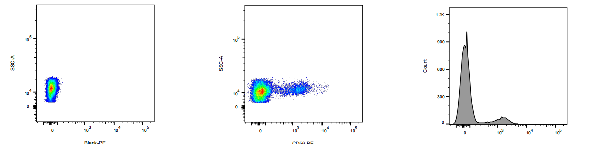 PE Mouse anti-Human CD56 Antibody(MEM188)