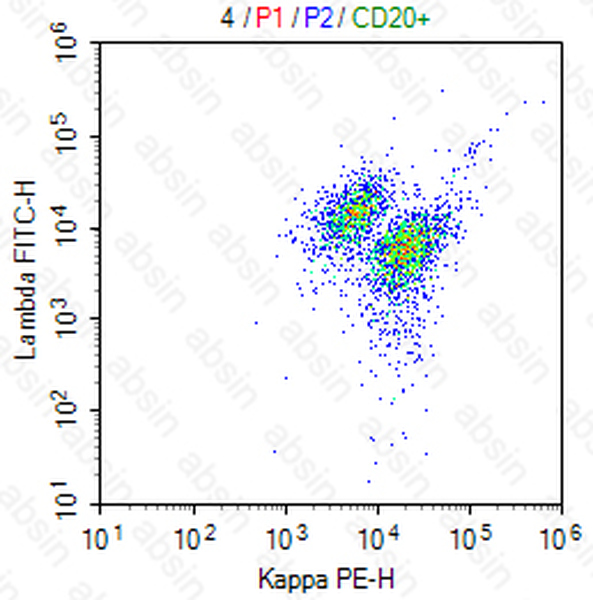 FITC Mouse anti-Human Lambda Antibody(ICO106)
