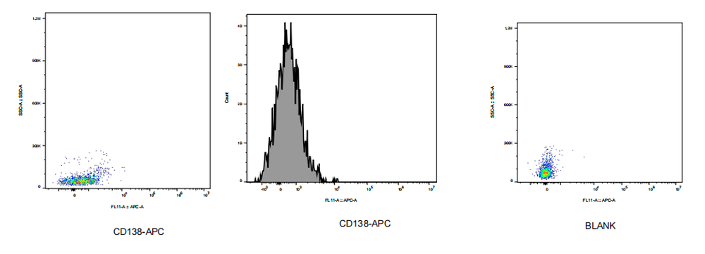 APC Rabbit anti-Human CD138 Antibody(1G8)