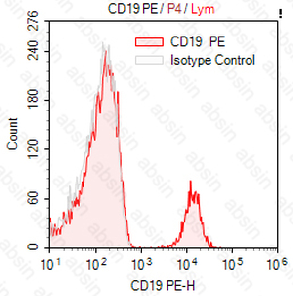 PE Mouse anti-Human CD19 Antibody(HIB19)