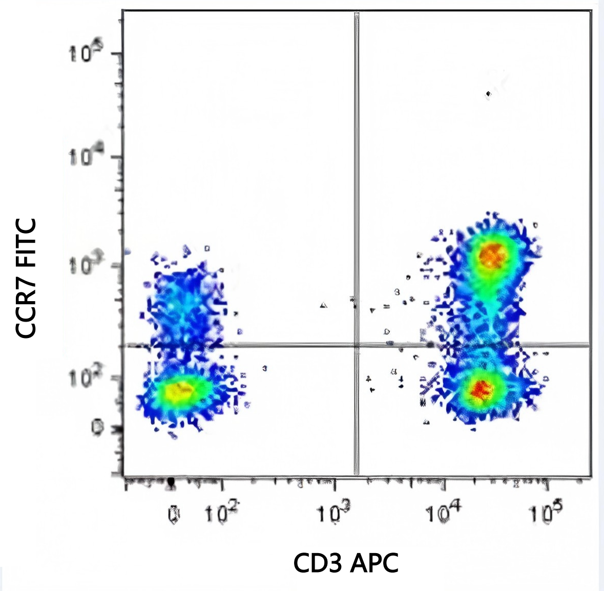 FITC Mouse anti-Human CD197(CCR7) Antibody(HCD197-01)