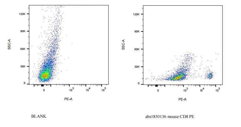 PE Rat anti-Mouse CD8 Antibody(YTS 169)