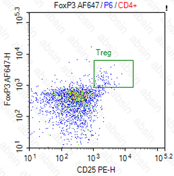AF647 Mouse anti-Human FOXP3 Antibody(SB151b)