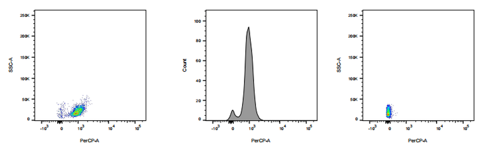 PerCP Rabbit anti-Human CD28 Antibody(5J3)