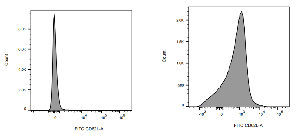 FITC Rat anti-Mouse CD62L Antibody(MEL-14)