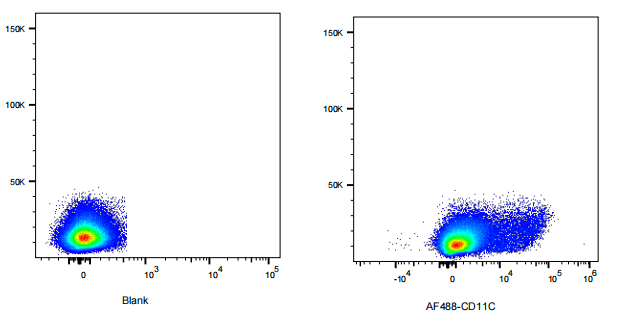AF488 Armenian Hamster anti-Mouse CD11c Antibody(N418)