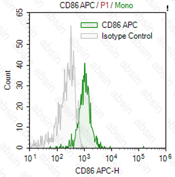 APC Mouse anti-Human CD86 Antibody(BU63)
