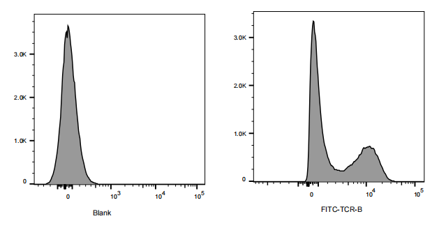 FITC Armenian Hamster anti-Mouse TCRβ Antibody(H57-597)