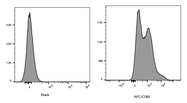 APC Armenian Hamster anti-Mouse CD80 Antibody(16-10A1)