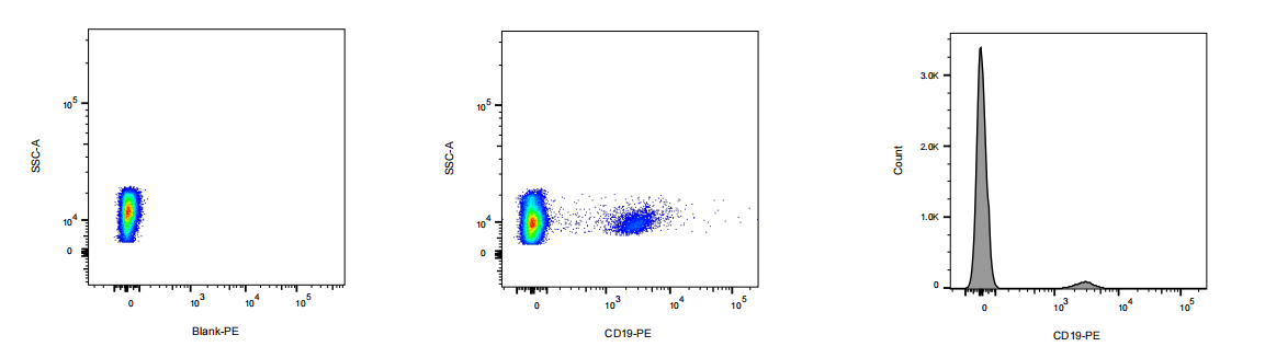 PE Mouse anti-Human CD19 Antibody(HIB19)