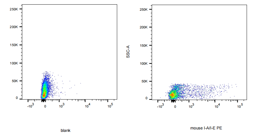 PE Rat anti-Mouse I-A/I-E Antibody(M5/114.15.2)