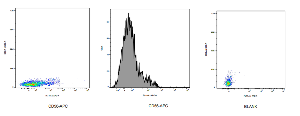 APC Mouse anti-Human CD56 Antibody(CF56-01)