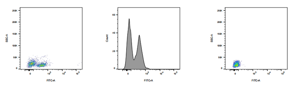 FITC Rabbit anti-Human CD28 Antibody(5J3)