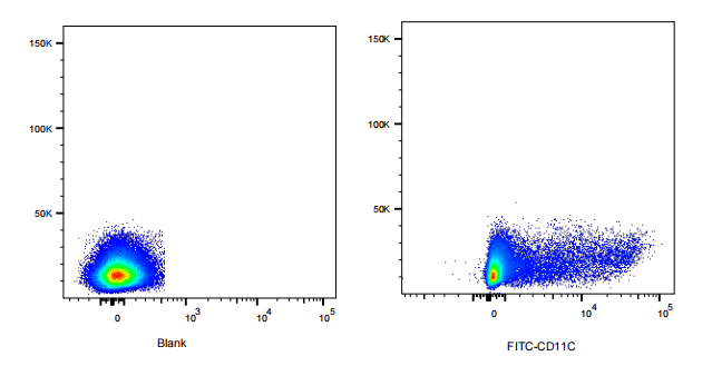 FITC Armenian Hamster anti-Mouse CD11c Antibody(N418)