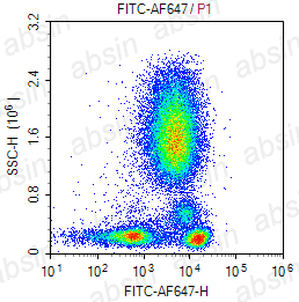 AF647 Mouse anti-FITC Antibody(F4AMU1D10)