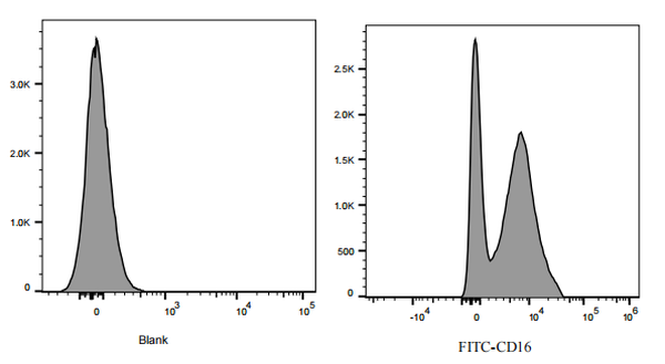 FITC Rat anti-Mouse CD16/32 Antibody(2.4G2)