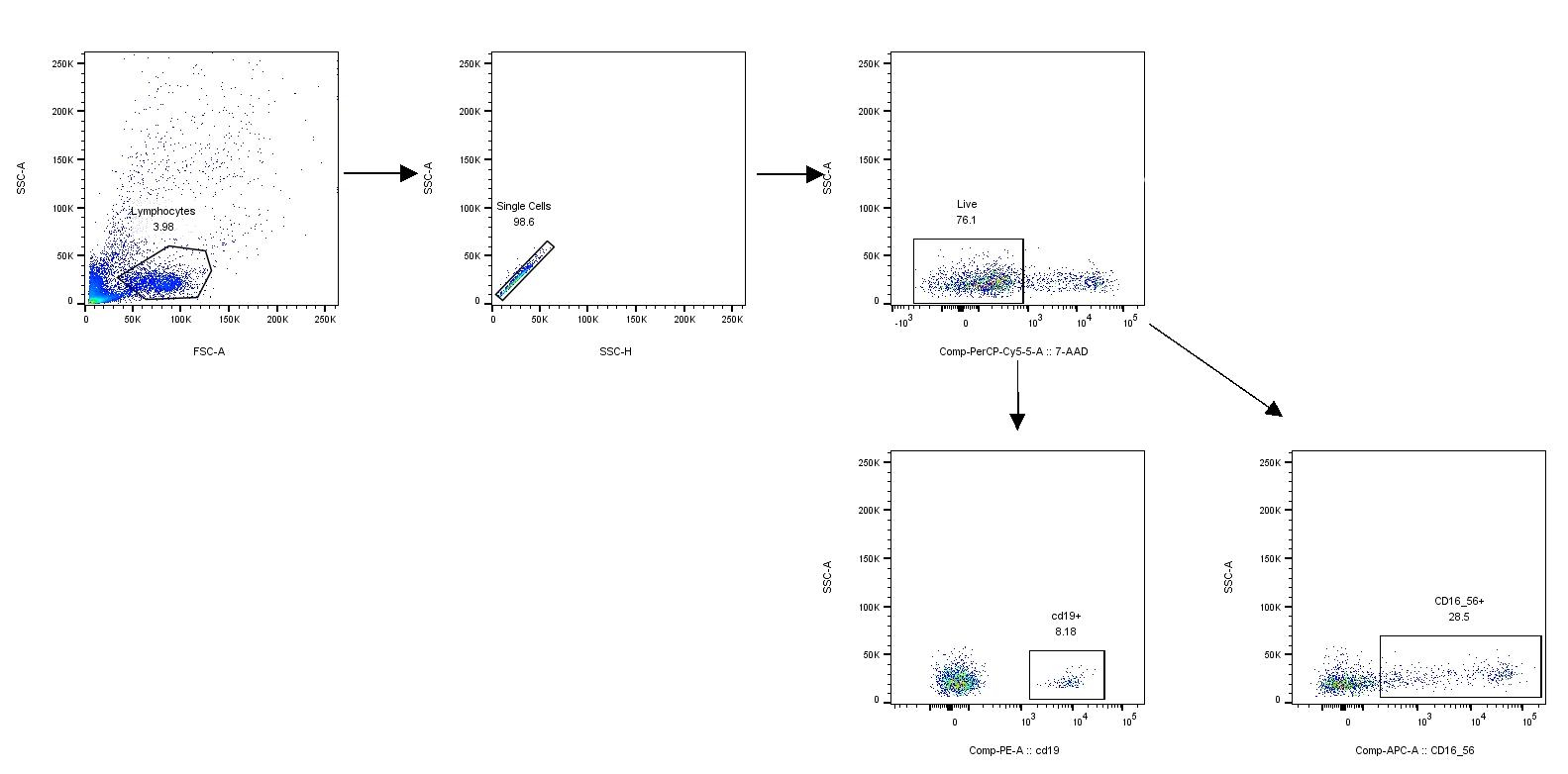 FITC Mouse anti-Human CD16 Antibody(CB16)