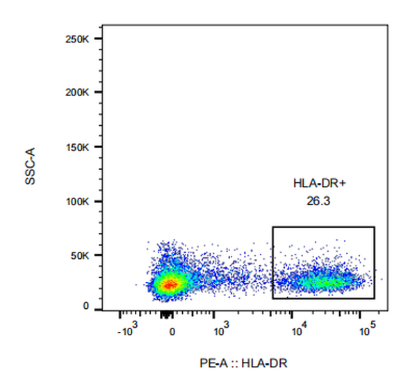 PE Mouse anti-Human HLA-DR Antibody(LN3)