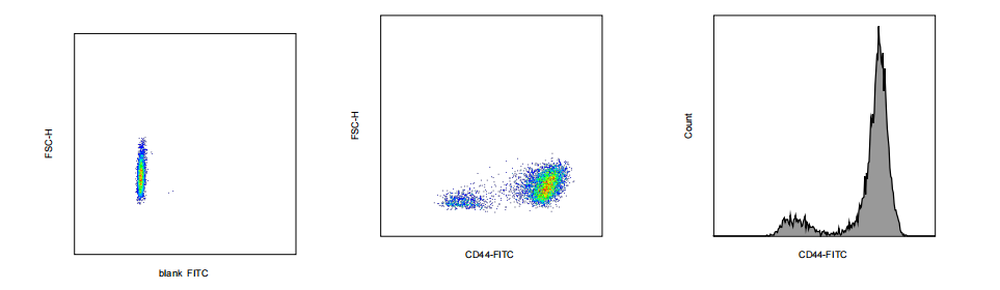 FITC Mouse anti-Human CD44 Antibody(1F4)