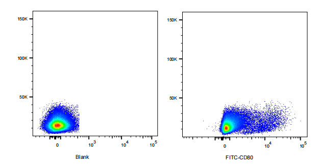 FITC Armenian Hamster anti-Mouse CD80 Antibody(16-10A1)