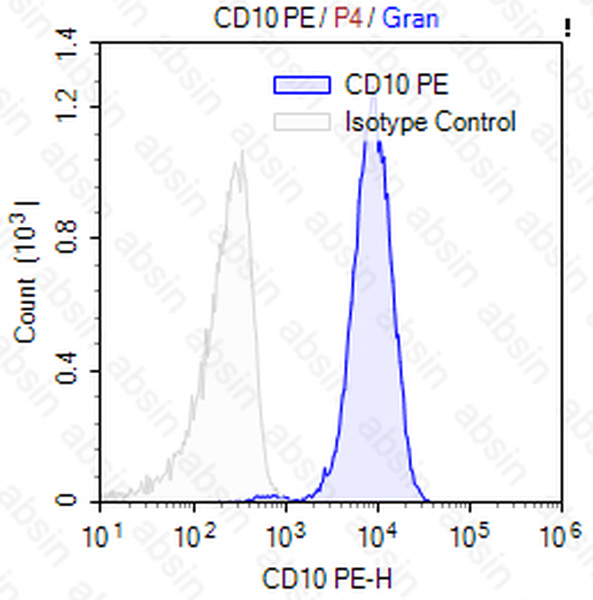 PE Mouse anti-Human CD10 Antibody(CB-CALLA)