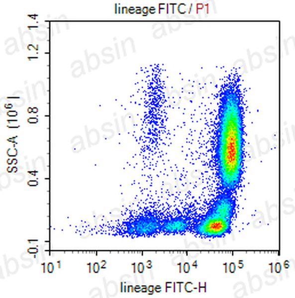 FITC Mouse anti-Human Lineage Cocktail(CD3, CD14, CD16, CD19, CD20, CD56) Antibody(OKT3,UCHM-1,CB16,CB19,BCA/b20,NCAM1b.2)
