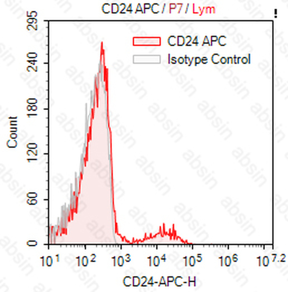 APC Mouse anti-Human CD24 Antibody(SN3)