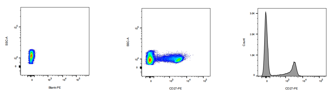 PE Mouse anti-Human CD27 Antibody(3AI27-27)