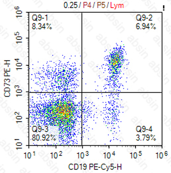PE Mouse anti-Human CD73 Antibody(AD2)