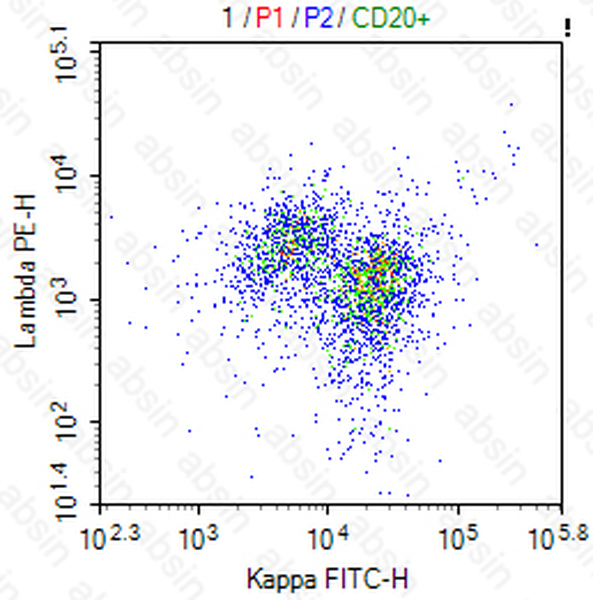 FITC Mouse anti-Human Kappa Antibody(L1C1)