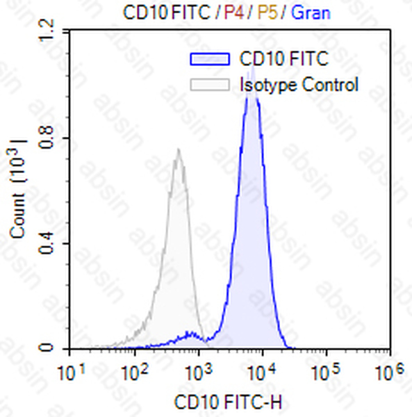 FITC Mouse anti-Human CD10 Antibody(CB-CALLA)